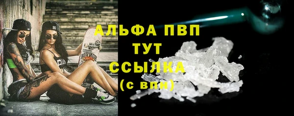Альфа ПВП Бородино