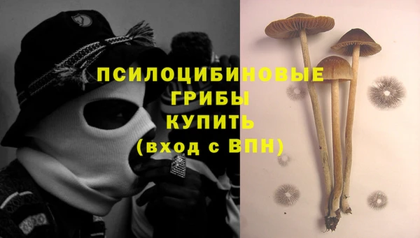 соль ск Бугульма