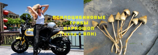 СК Бронницы