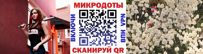 Купить  Николаевск  Галлюциногенные грибы Psilocybe 